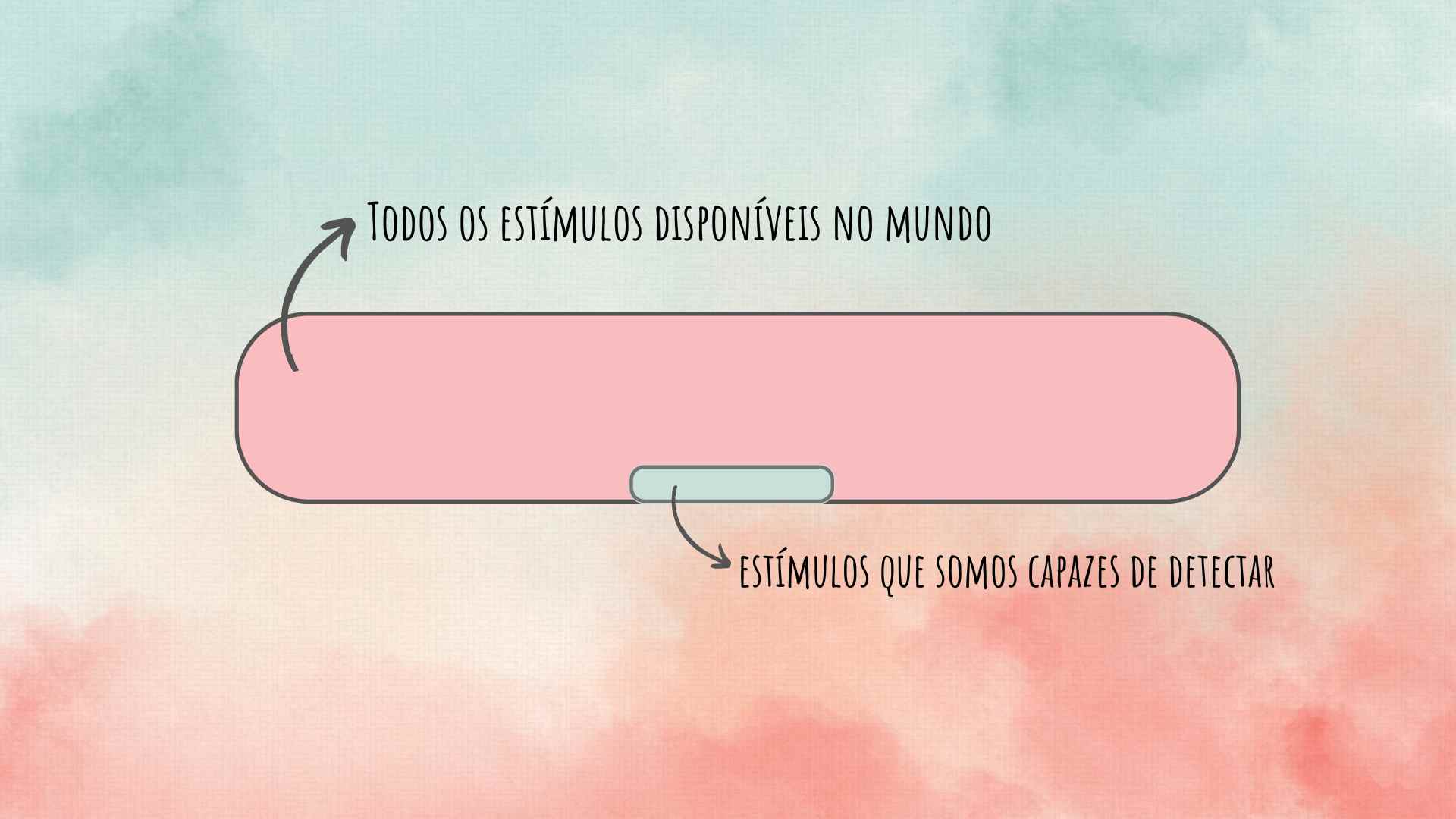 Ilustração comparando os estímulos captados pelos animais (em rosa) com a pequena parcela captada pelos órgãos sensoriais humanos (em azul)